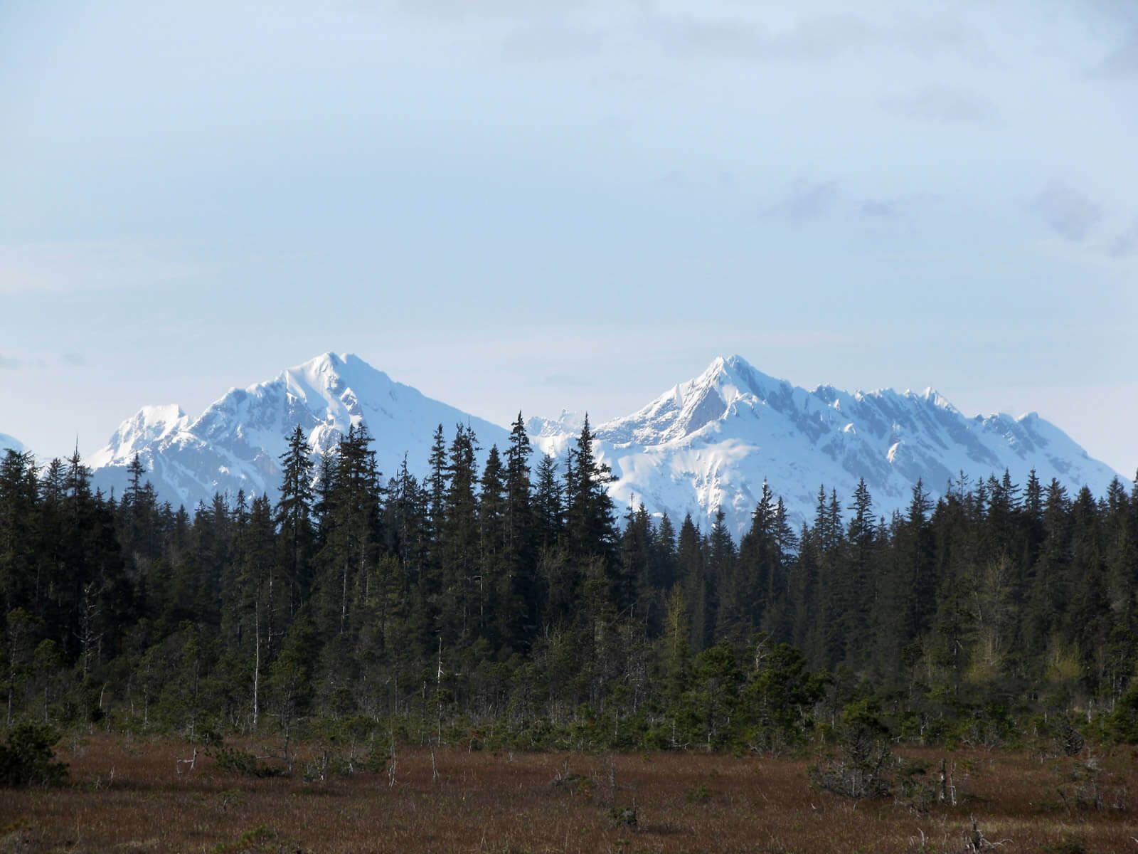 NPS-Glacier-Bay-Alaska-1