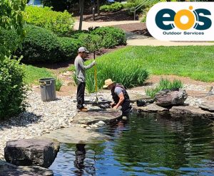 Eos services landscapers landscaping front yard in maryland